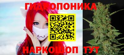 прущие крисы Пенза