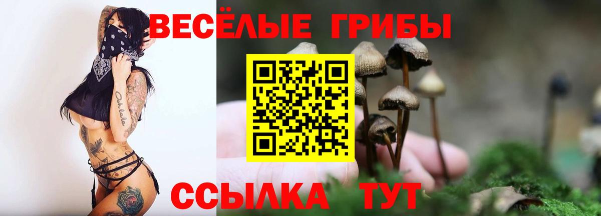 Светлоград  Галлюциногенные грибы Magic Shrooms  Галлюциногенные грибы прущие грибы  Вход с VPN 